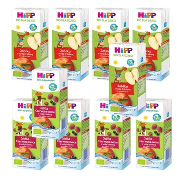 HiPP Napój OWOCE z WODĄ ŹRÓDLANĄ jabłka+jabłka-czerwone owoce MIX 10x200ml