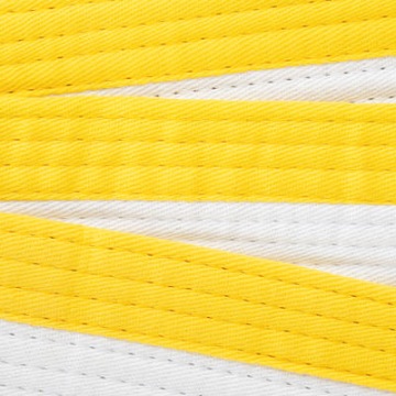 Прошитый ремень длиной 2,5 м.