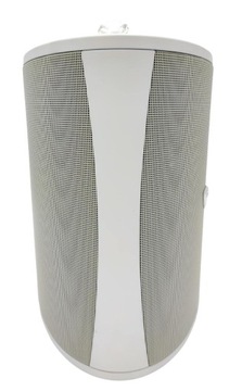 Głośnik na ogród Definitive Technology AW5500 WH