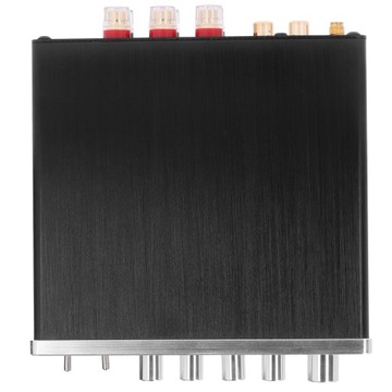 100 Вт цифровой усилитель DC12V-24V Hi Fi стерео аудио усилитель высокой мощности