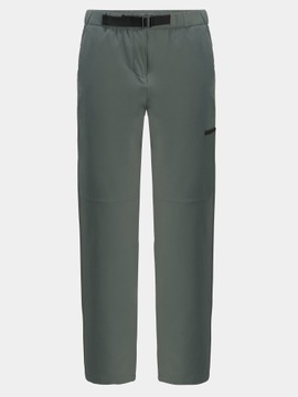 Jack Wolfskin Spodnie outdoor Wandermood Pants 1508441 Zielony Regular Fit