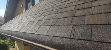 ANTY MECH - профессиональное средство для удаления водорослей, мхов и лишайников 1 л