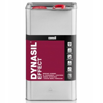 DYNASIL EFFECT 5L