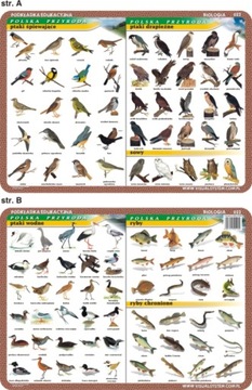 Учебный коврик. Периодическая таблица элементов.
