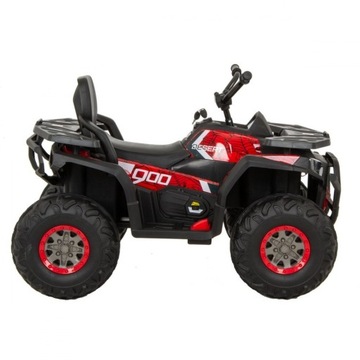 АККУМУЛЯТОР QUAD CAR TRAPER SPIDER 1021232