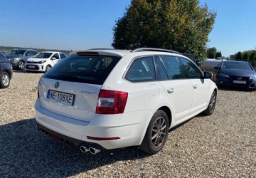 Skoda Octavia III Kombi Facelifting 1.0 TSI 115KM 2019 Skoda Octavia Samochod z gwarancja Benzyna 115KM, zdjęcie 4