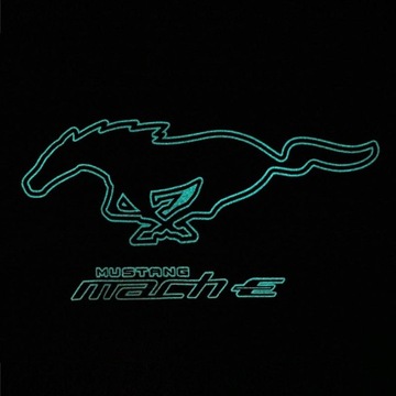 ФУТБОЛКА FORD MUSTANG MACH-E, ЧЕРНАЯ, размер XXXL OE