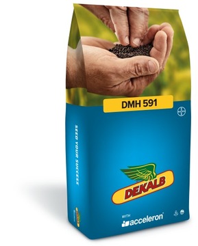 RZEPAK DEKALB - DK DMH 591 TuYV Buteo Star + Scenic Gold + Zinc Boost