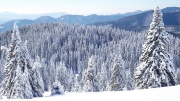 Масляный диффузор Stylies Elara