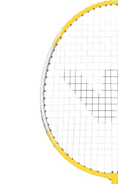 Набор ракеток для бадминтона + воланы + чехол VICFUN Hobby Type B