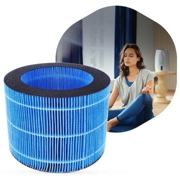 Фильтр для увлажнителя воздуха PHILIPS HU2716/10 HU2718/10 Увлажняющий 1 шт.
