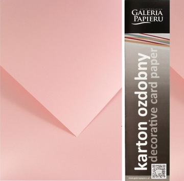 PAPIER WIZYTÓWKOWY PUDROWY RÓŻ GŁADKI 20SZT 210G