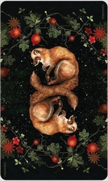 Dream Song Oracle Cards, instr.PL