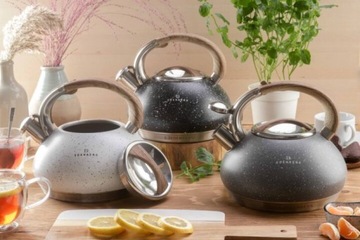 Традиционный стальной чайник Edenberg 3 L Black