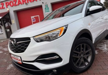 Opel 2019 Opel Grandland X 1.5D 130ps 6Biegow Tylko 127Tys Przebiegu Nawi Kamera Bez, zdjęcie 2
