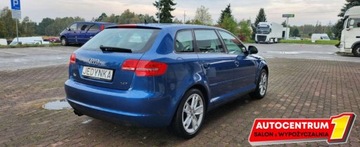 Audi A3 8P Hatchback 3d 1.4 TFSI 125KM 2009 Audi A3 Fotele S-Line Alcantara Navigacja, zdjęcie 5