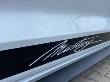 Ford Mustang VI Fastback Facelifting 5.0 Ti-VCT 450KM 2018 Ford Mustang Ford Mustang 5.0 V8 GT Salon Polska Automat 5.0 Benzyna, zdjęcie 14