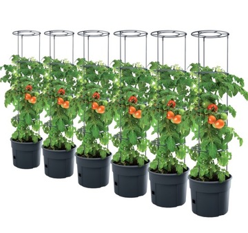 6X Doniczka do uprawy pomidorów Planter IPOM300