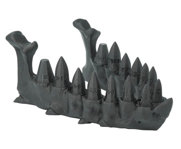 Smocza szczęka z zestawem kości ze smoczych zębów - Dragon Teeth Dice Set