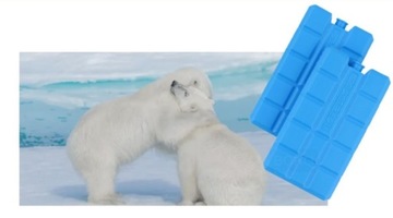 ОХЛАЖДАЮЩИЕ ВСТАВКИ ДЛЯ ТУРИСТИЧЕСКОГО ХОЛОДИЛЬНИКА 2 X 200мл