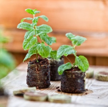 Кокосовые диски для проращивания, 20 шт, 3,5 см, торфяной субстрат для рассады