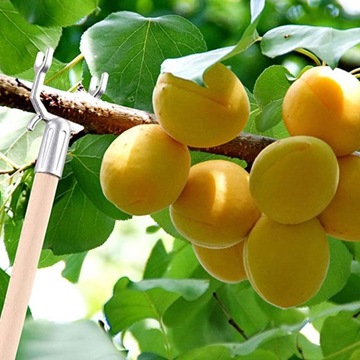 10шт металлическая ветка дерева поддержка фруктового дерева