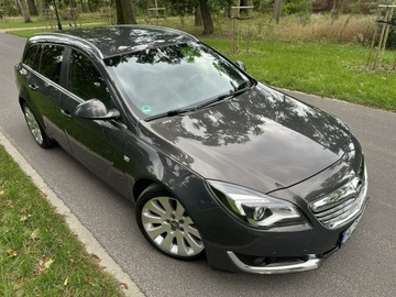 Opel Insignia I Country Tourer 2.0 CDTI Ecotec 163KM 2014 Opel Insignia Cosmo 2.0 CDTI 163 KM Navi Alu19&#039;&#039;, zdjęcie 13