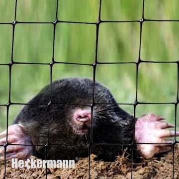 СЕТКА 1х100м 30г/м2 ДЛЯ ГАЗОНА ПРОТИВ КРОТОВ ПОЛЕВОК 50х КОЛЫШЕК