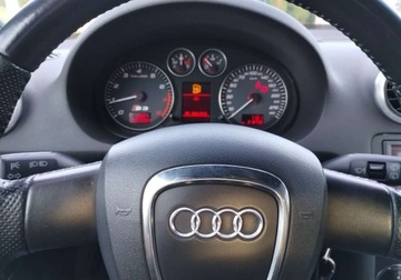 Audi A3 8P 2007 Audi S3 Audi S3 2.0T FSI Quattro 2.0 Benzyna 265KM, zdjęcie 19