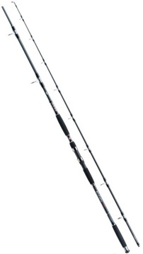 WĘDKA JAXON ECLATIS CAT FISH 2,70m 50-120g CATFISH