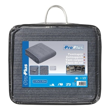 Коврик, пол тамбура, ковер 250х350