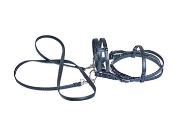 Английская уздечка - ЧЕРНАЯ - Упряжь для лошадей-любителей