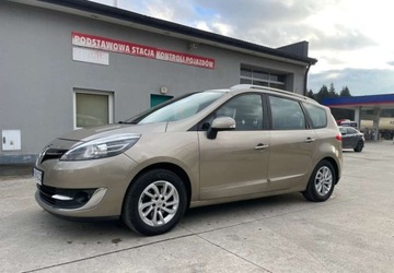 Renault Scenic III 2013 Renault Scenic Renault Scenic Energy TCe 130 SampS Bose Edition 1.2 132KM, zdjęcie 10