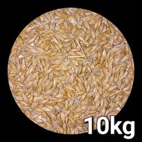 Jęczmień ziarno, karma