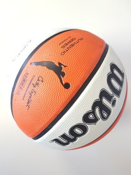 Баскетбольный мяч Wilson WNBA WTB5200XB, 6 год