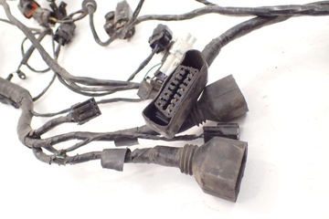 Triumph Tiger 800 XCx 10-17 Instalacja wiązka