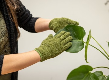 acm ПЕРЧАТКИ ДЛЯ УХОДА ЗА КОМНАТНЫМИ РАСТЕНИЯМИ ДЛЯ СБОРА ПЫЛИ С ЛИСТЬЕВ JB37