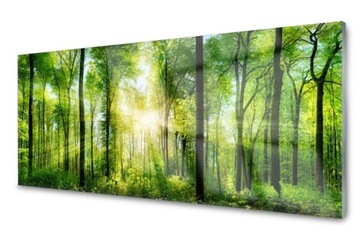 Panel Szklany Do Kuchni z grafiką Las Natura Drzewa 120x60