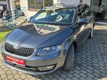 Skoda Octavia III Scout 2.0 TDI 184KM 2016 Škoda Octavia Skoda Octavia Bezwypadkowy + serwis, zdjęcie 2