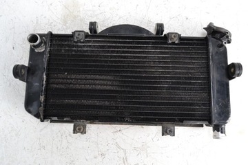 Радиатор YAMAHA TDM 900