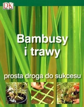 BAMBUSY I TRAWY. PROSTA DROGA DO SUKCESU