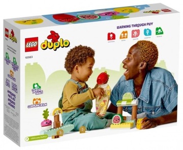 LEGO Duplo 10983 Биография Рынечека