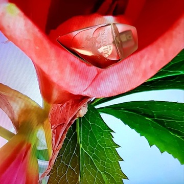 NIKOS SCULPTURE HOMME EDT БУТЫЛКА 100 МЛ + КРЫШКА x