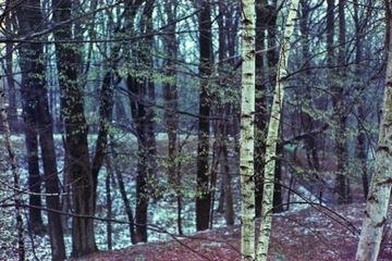 Fujifilm Eterna 250D 36эксп.