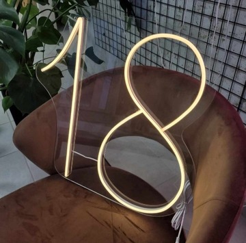 18 nastka napis LEDOWY LED Neon LEDON