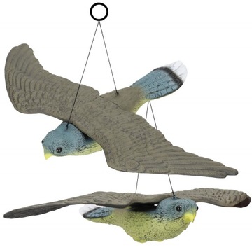 БОЛЬШОЙ СОКОЛ ПТИЦ ОТПУСКАТЕЛЬ ГОЛУБЕЙ НАЧИНКИ ВИСЯЧИЙ САД ЛЕТАЮЩАЯ ПТИЦА