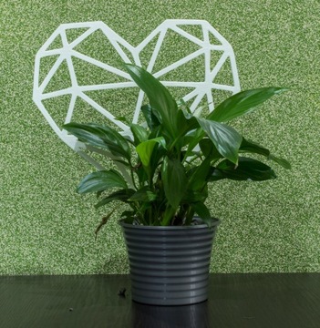 PODPÓRKA KWIATÓW ROŚLIN DRABINKA PERGOLA SERCE