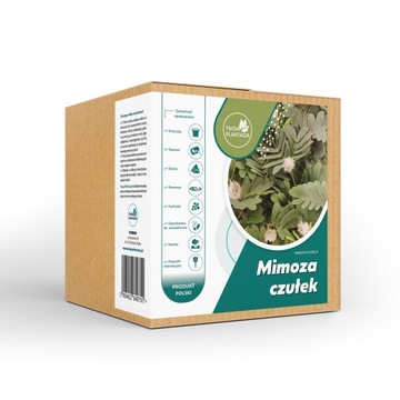 Ogrodniczy box startowy Mimoza czułek mimosa