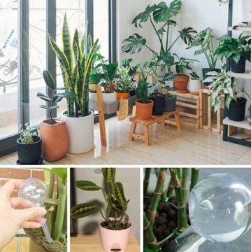 ШАРИКИ ДЛЯ ПОЛИВАНИЯ ДЛЯ ЦВЕТОВ В ГОРШКАХ РАСТЕНИЙ НАБОР ДИСПЕНСЕРОВ ВОДЫ 8 шт.