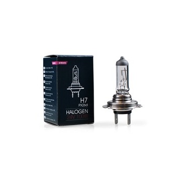 ŻARÓWKA HALOGENOWA PX26D 24V/100W H7